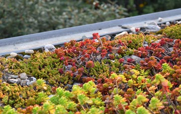 the cost of Middlerig green roof installation
