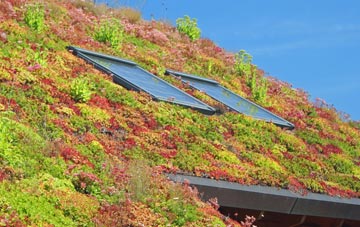 Middlerig living roof systems
