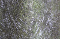 Middlerig fibreglass roof work